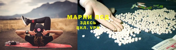 мяу мяу мука Бородино