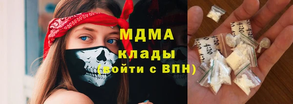 стафф Богданович