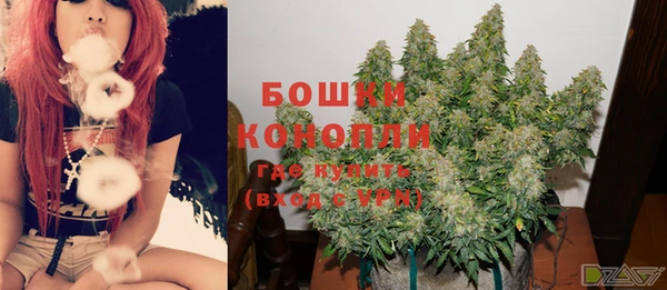 стафф Богданович