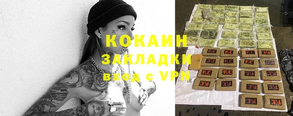 стафф Богданович