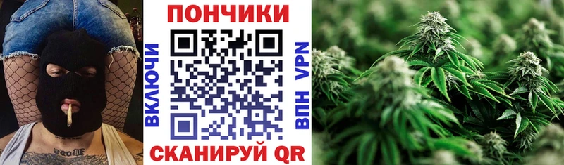Каннабис гибрид  Нерехта 